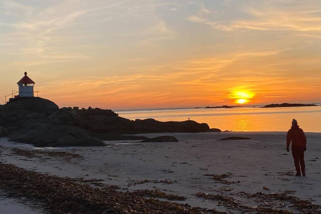 Lofoten_Beach_Eggum ภายนอก รูปภาพ